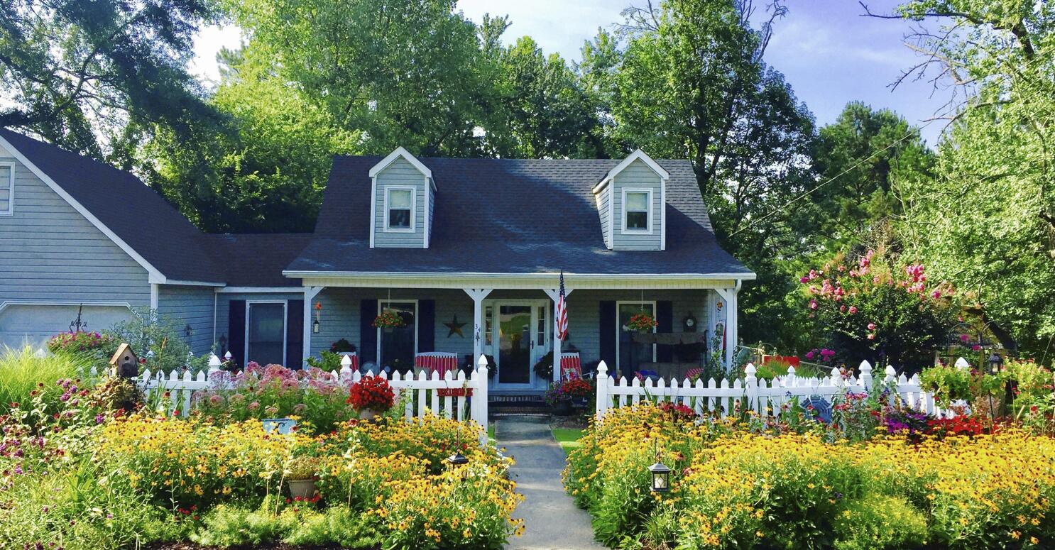 Wildflower lawn best sale